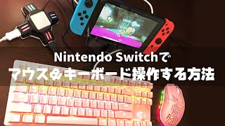 【Nintendo Switch】マウス＆キーボード操作にする方法【コンバーター】 [upl. by Anicul]