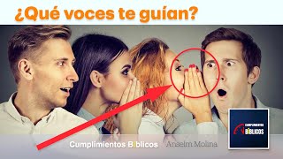 ¿Qué voces te guían  Reflexión [upl. by Ikcaj]