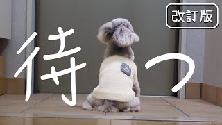 5歳まで繁殖犬としてケージで生きた私にも帰りが待ち遠しい家族がいます 改訂版 [upl. by Pamelina]