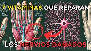 ⚡ ¡REGENERA tus Nervios ⚡ 7 Vitaminas Milagrosas para Reparar el Daño Nervioso 🧠 [upl. by Lyrak]