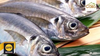 Beneficios de consumir omega 3│RPP [upl. by Bianchi]