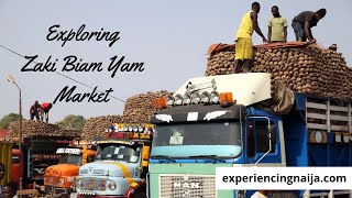 Exploring Zaki Biam The Largest Yam Market in West Africa [upl. by Handy]