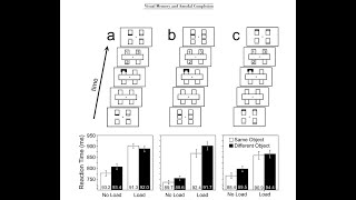 The Role of Visual Short Term Memory in Amodal Completion TCE8 [upl. by Long]