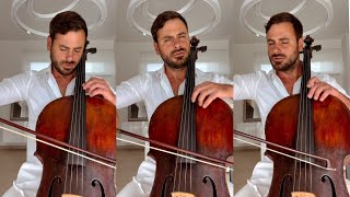 Stjepan Hausers Serene Symphony Embracing Peace and Love 🎻✨ [upl. by Luba]