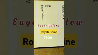 ROYALE SHINE asianpaints interior paint home wall birla business painting art diy putty [upl. by Eecyak]