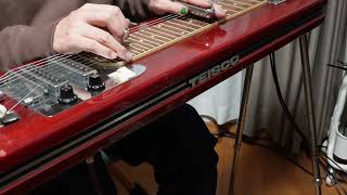 Pedal Steel Guitar 02 [upl. by Luciana]