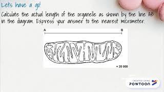 How To Use the IAM Equation [upl. by Gladdie]