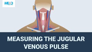 Measuring the jugular venous pulse [upl. by Toscano215]