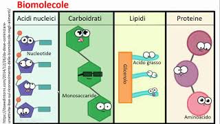 Introduzione alla biochimica [upl. by Nwahsed]