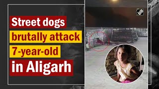 Street dogs brutally attack 7yearold in Aligarh [upl. by Nevaj859]