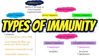 Types of Immunity Chapter 35 part 1 Guyton and Hall Physiology [upl. by Lebama]