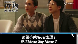 《IT狗》氣氛小偷Never出現！見工Never Say Never？ [upl. by Artenahs]