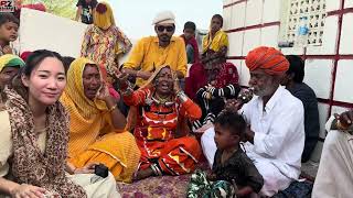 Kalbelia folk songs and dances of Rajasthan  viral kalbeliya song [upl. by Asa]