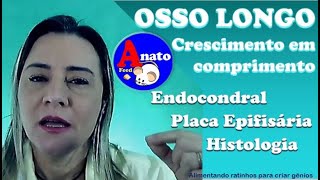 Ossificação  Parte 3  Como os ossos crescem em comprimento [upl. by Ime]