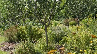 Vergermaraîcher Jardin de Benoît Rivière [upl. by Lindholm957]