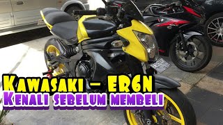 ER6N  Spesifikasi Detail Kawasaki ER6N [upl. by Sahcnip]