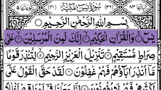 Surah Yaseenyasin ShareefTilawat Quranquran tilawat سورۃ یس 36Quran recitation [upl. by Annot]