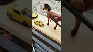 Horse Carriage Vs Small to Big Cars horse trendingshorts [upl. by Adnuahs]