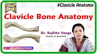 Clavicle Bone Anatomy Bony Landmarks and Articulations Functions Attachments Clinical aspects [upl. by Thordis]