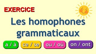 les homophones grammaticaux exercices [upl. by Fina]