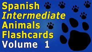 Intermediate SpanishAnimal Flashcards 1 [upl. by Nylemaj38]