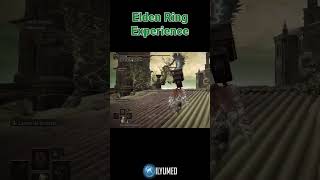 Elden Ring EXPERIENCE eldenring eldenringclips eldenringdlc shadowoftheerdtree [upl. by Atterahs]