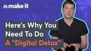 Why You Should Do A Digital Detox  Cal Newport [upl. by Noinatrad]