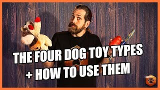 How to Use the 4 Types of Dog Toys RIGHT [upl. by Alywt]