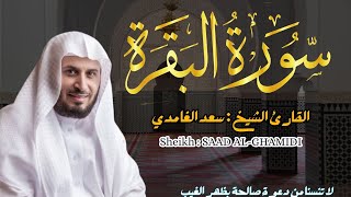 القارئ الشيخ  سعد الغامدي سورة البقرة  Sourat Albaqarah Sheikh SAAD ALGHAMDI [upl. by Niret]