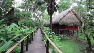 Centro Ecoturístico Las Guacamayas Chiapas [upl. by Nereus]