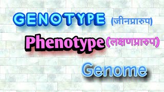 Genotype  phenotype  genome [upl. by Ydnim856]