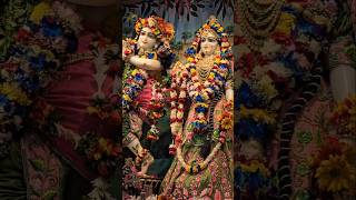 Suno Krishna Pyaare Bhakti Songs l Jai Radhe Radhe Krishna l Swati Mishra l Krishna Bhakti l shorts [upl. by Adnat]