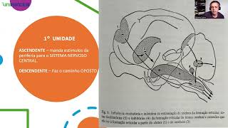 Neuropsicologia e neuromodulação [upl. by Aseeram980]