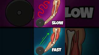 Slow VS Fast Rep Tempo [upl. by Malia379]