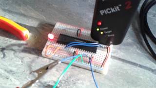 Antiphase PWM code running on a dsPIC30F4011 microcontroller blinking LED on RD0 [upl. by Nichols767]