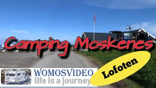 Camping Moskenes Lofoten [upl. by Culliton]