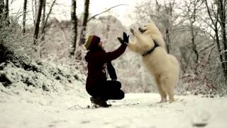 △ Vasko Samoyede  Winter 2016 ♡ [upl. by Hedaza]