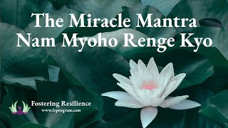 What is the Miracle Mantra  Nam Myoho Renge Kyo  Transform Your Life [upl. by Airehtfele]