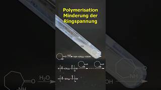 Synthese von Perlon aus Caprolactam chemie science kunststoff experiment [upl. by Bondie754]