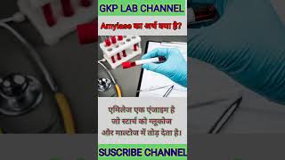 serum Amaylas का अर्थ क्या होता ll 🫁🫀 GKPLAB shots amylase shortvideo viral [upl. by Tine]