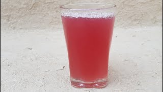 Falsa Sharbat Recipe  Falsa Juice Recipe by Mubashir Saddique  Village Food Secrets [upl. by Rabelais]