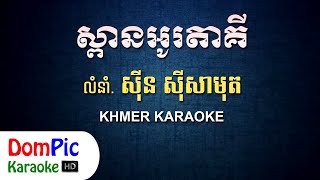 ស្ពានអូរតាគី ស៊ីន ស៊ីសាមុត ភ្លេងសុទ្ធ  Spean Otaki Sin Sisamuth  DomPic Karaoke [upl. by Benjamen138]