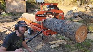 WoodMizer Saw Shed Part 1  Milling the Main Beam sawmill woodworking hardwork [upl. by Kcirdle]