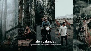 How to edit like Alen palander in lightroom mobile colour grading tutorial 129 [upl. by Mccready]