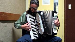 Title Theme The Legend of Zelda Ocarina of Time accordion cover [upl. by Phelps]