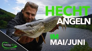 Hechtangeln im MaiJuni  so geht´s FishingKingde [upl. by Anaic]