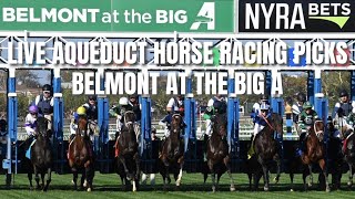 Live Aqueduct Horse Racing Picks  Belmont at the Big A [upl. by Kobi993]