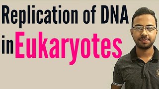 DNA replication in eukaryotes  dna multiplication [upl. by Ketti305]