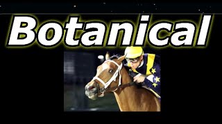 Botanical All Starts Kentucky Oaks Gate 6 Odds 41 [upl. by Asaret]