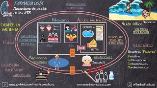 Antibióticos Mecanismo de Acción SÚPER FÁCIL MNEMOTECNIA  Mentes Médicas [upl. by Ettenirt495]